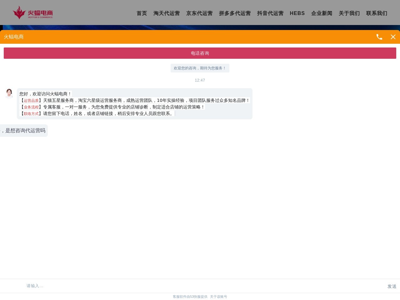 武汉火蝠电商